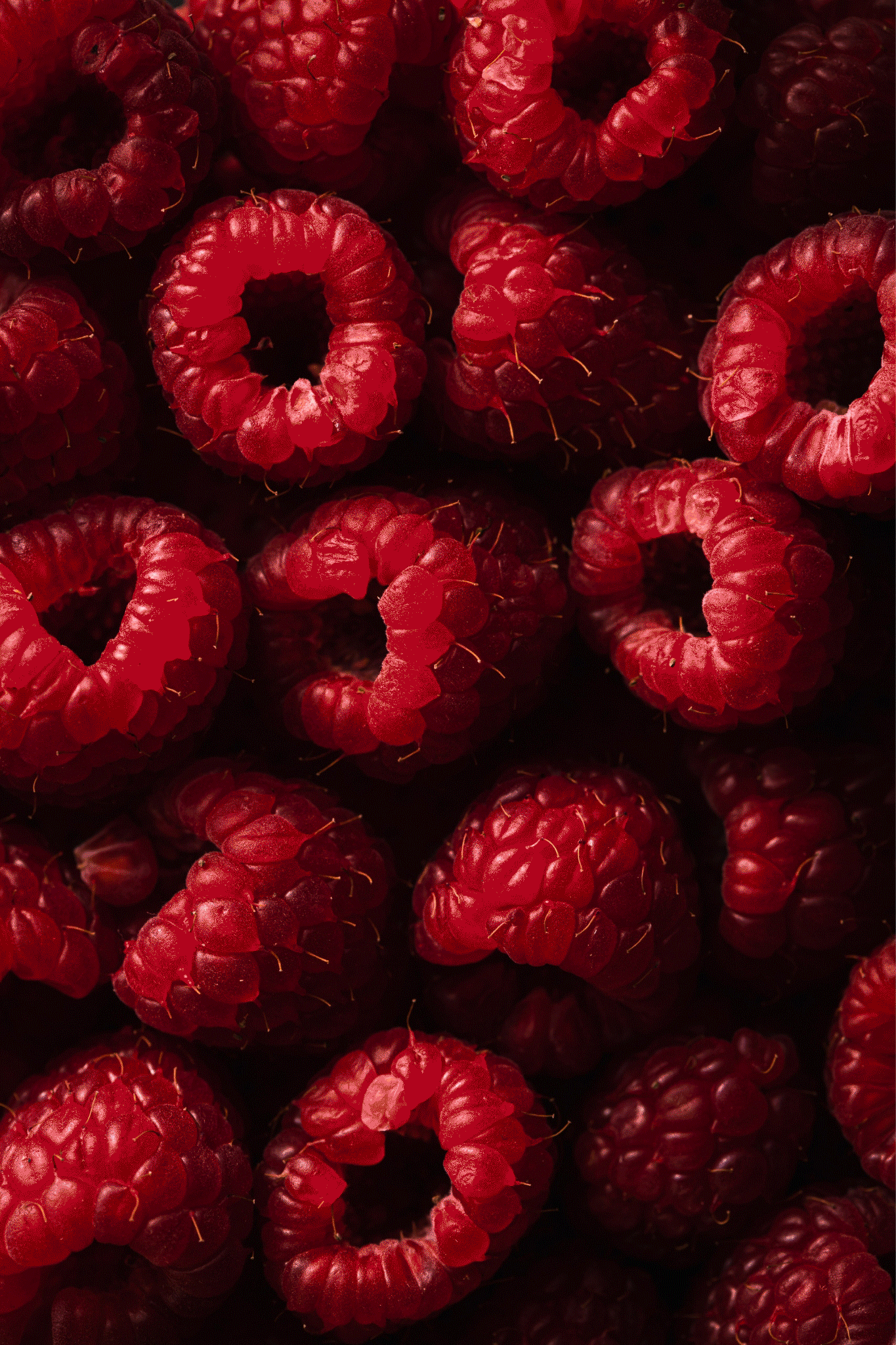 New-GIF-homepage-foodlight